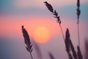 Chakra Sound Meditation: DEN Meditation Class Chakra Sound Meditation: DEN Meditation Class