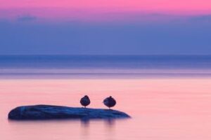 Restorative: DEN Meditation Class Restorative: DEN Meditation Class