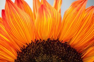 Happiness Learn to cultivate positive emotions and a sense of well-being in this mindfulness-based class