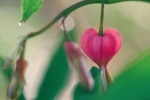 Self-Compassion Deepening the compassion you have for yourself and others allows you to cultivate a space of internal acceptance, happiness, and peace.